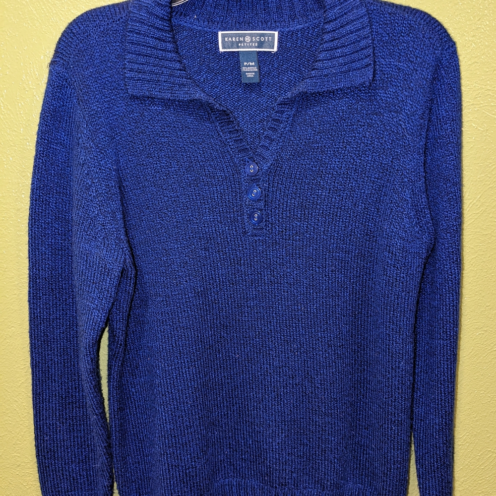 Karen Scott Blue Men's Sweater